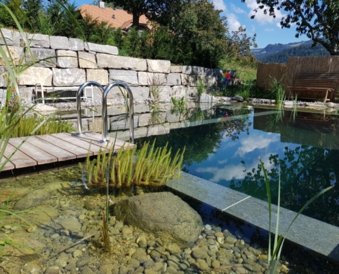 Schwimmteich Rüschegg
