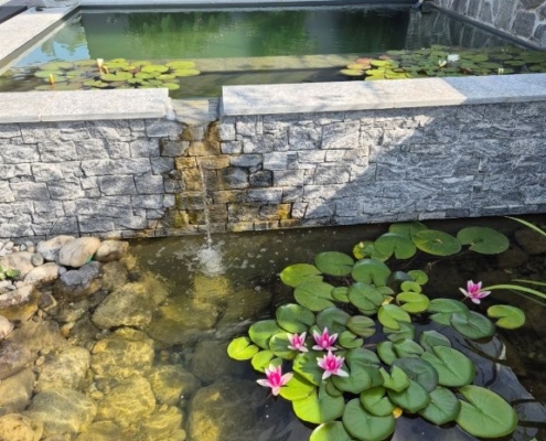 Schwimmteichbecken Showgarten