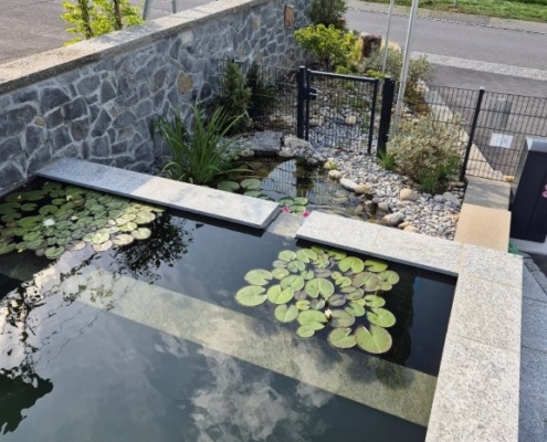Schwimmteichbecken Showgarten