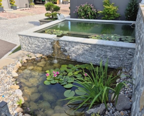 Schwimmteichbecken Showgarten