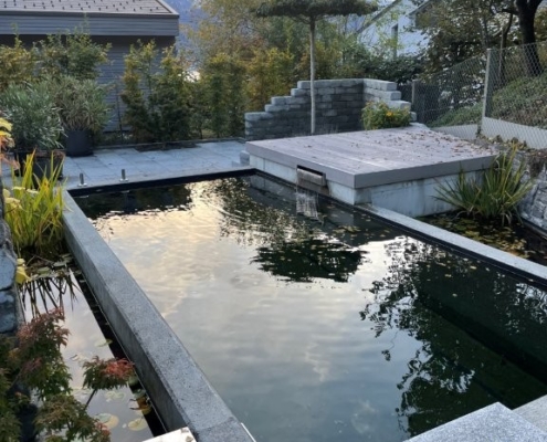 Biopool Hilterfingen