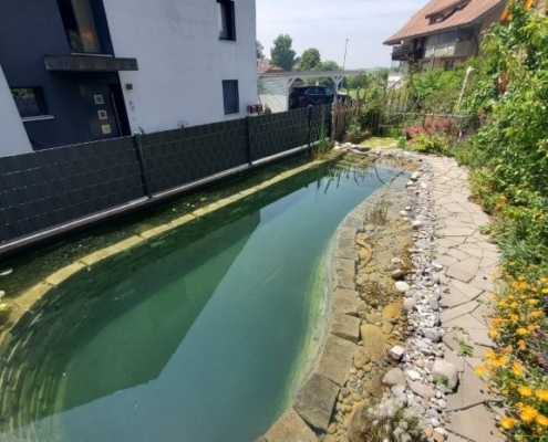 Schwimmteich ohne Technik