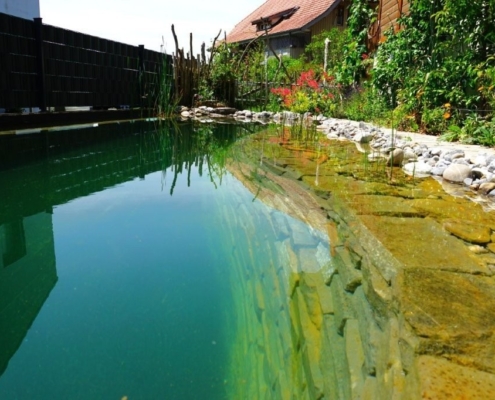 Schwimmteich ohne Technik