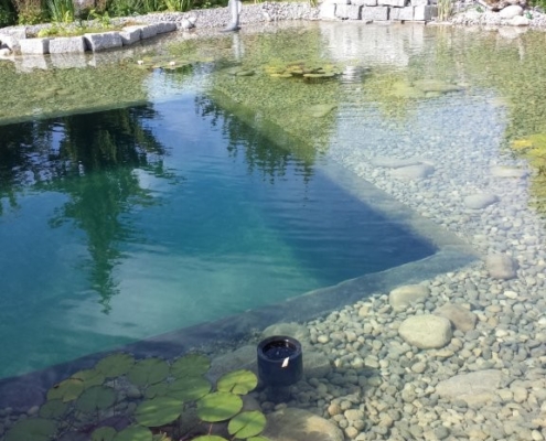 Schwimmteich Kirchberg