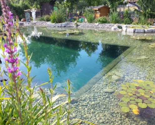 Schwimmteich Kirchberg