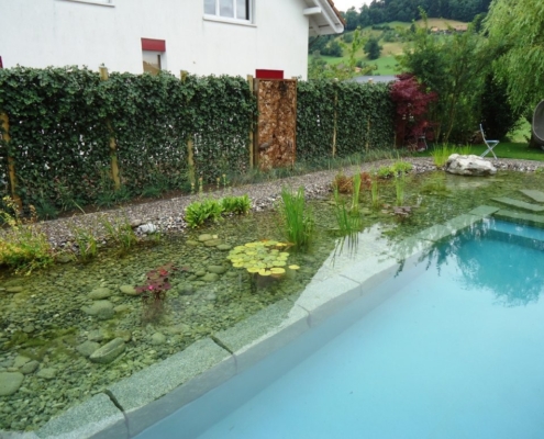 Schwimmteich Burgistein