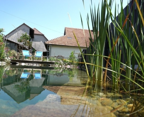 Schwimmteich ohne Technik Grossaffoltern