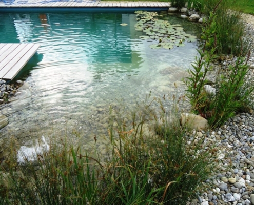 Schwimmteich Hilterfingen