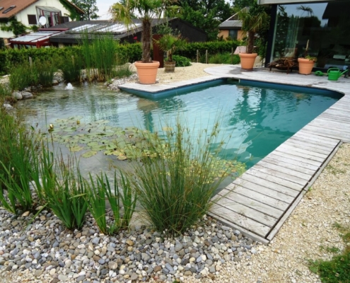 Schwimmteich Holzsteg